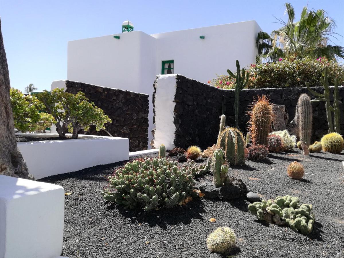 Palmeras I Puerto del Carmen (Lanzarote)